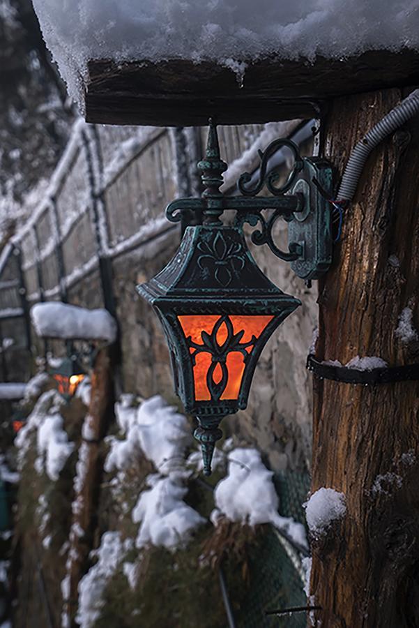 Meena Bagh Shimla Exterior photo